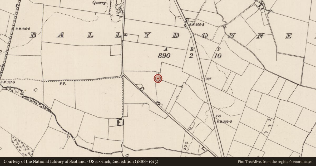 Ordnance Survey six-inch map, 2nd edition (1888–1915) covering the location of Enclosure, Ballydonnell, County Tipperary South, with a pin at the register's coordinates
