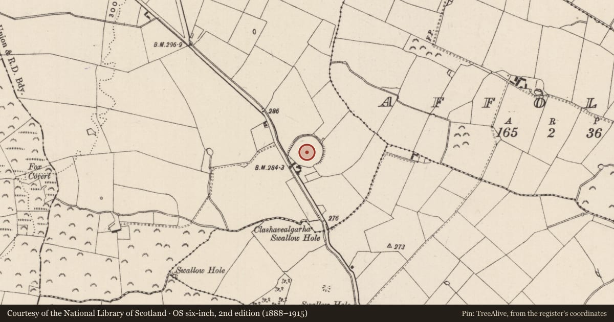 Ordnance Survey six-inch map, 2nd edition (1888–1915) covering the location of Enclosure, Ballydonnell, County Tipperary South, with a pin at the register's coordinates
