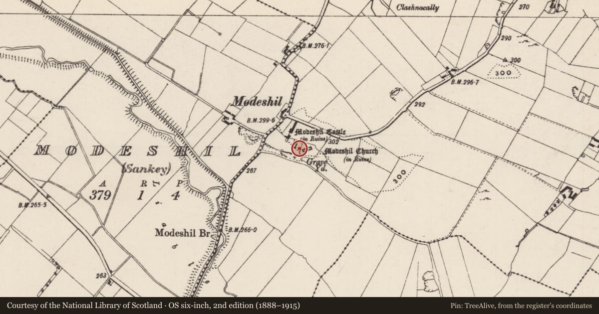 Ordnance Survey six-inch map, 2nd edition (1888–1915) covering the location of Settlement cluster, Modeshil (Ayre), Modeshil (Sankey), County Tipperary South, with a pin at the register's coordinates