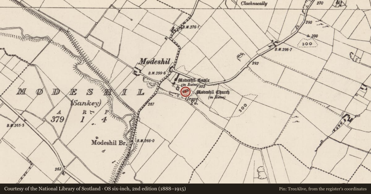 Ordnance Survey six-inch map, 2nd edition (1888–1915) covering the location of Church, Modeshil (Ayre), County Tipperary South, with a pin at the register's coordinates