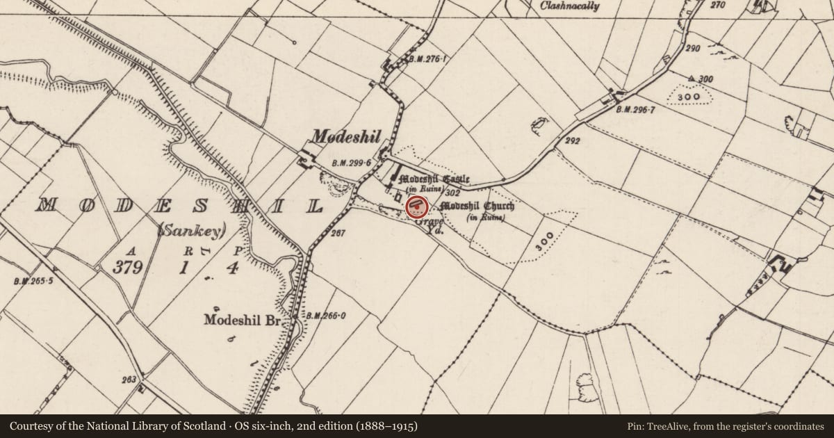 Ordnance Survey six-inch map, 2nd edition (1888–1915) covering the location of Graveyard, Modeshil (Ayre), County Tipperary South, with a pin at the register's coordinates