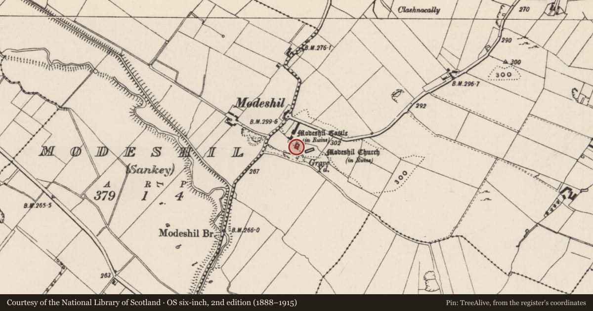 Ordnance Survey six-inch map, 2nd edition (1888–1915) covering the location of Castle - tower house, Modeshil (Ayre), County Tipperary South, with a pin at the register's coordinates
