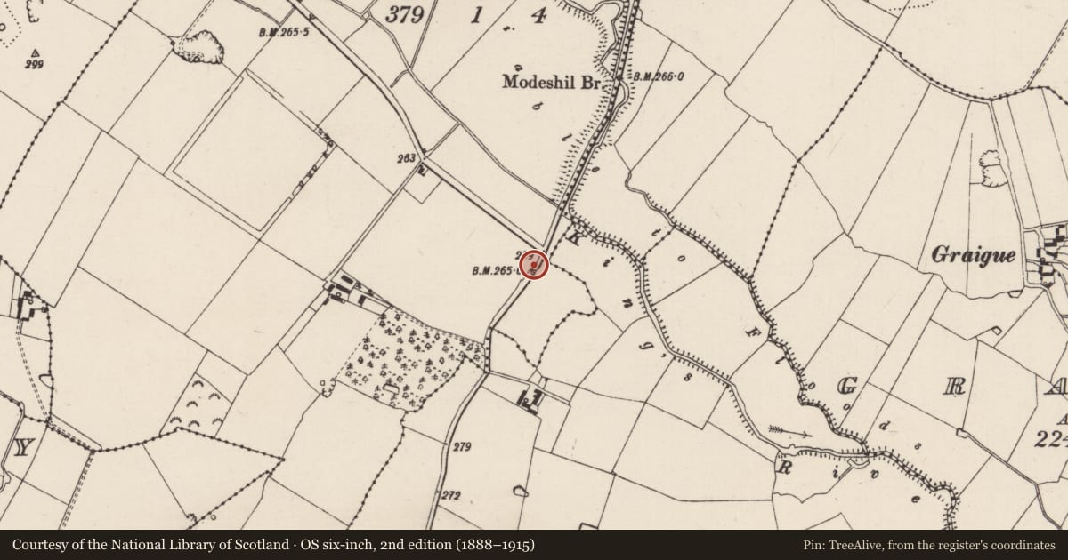Ordnance Survey six-inch map, 2nd edition (1888–1915) covering the location of Ritual site - holy tree/bush, Modeshil (Sankey), County Tipperary South, with a pin at the register's coordinates