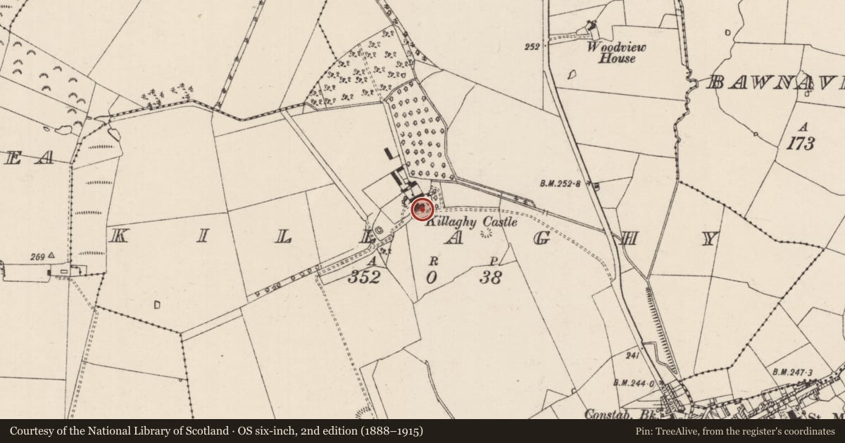 Ordnance Survey six-inch map, 2nd edition (1888–1915) covering the location of Castle - tower house, Killaghy, County Tipperary South, with a pin at the register's coordinates