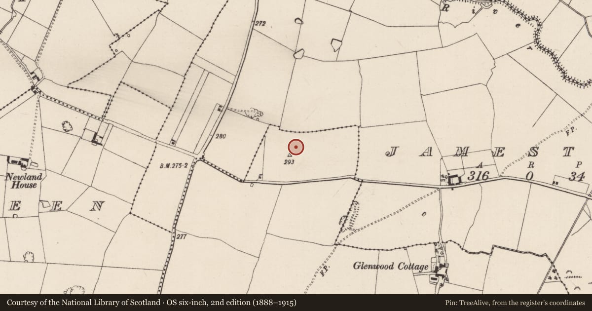 Ordnance Survey six-inch map, 2nd edition (1888–1915) covering the location of Enclosure, Kyleaglanna, County Tipperary South, with a pin at the register's coordinates