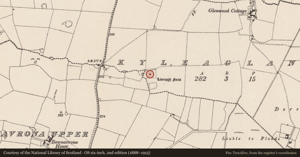 Ordnance Survey six-inch map, 2nd edition (1888–1915) covering the location of Moated site, Kyleaglanna, County Tipperary South, with a pin at the register's coordinates