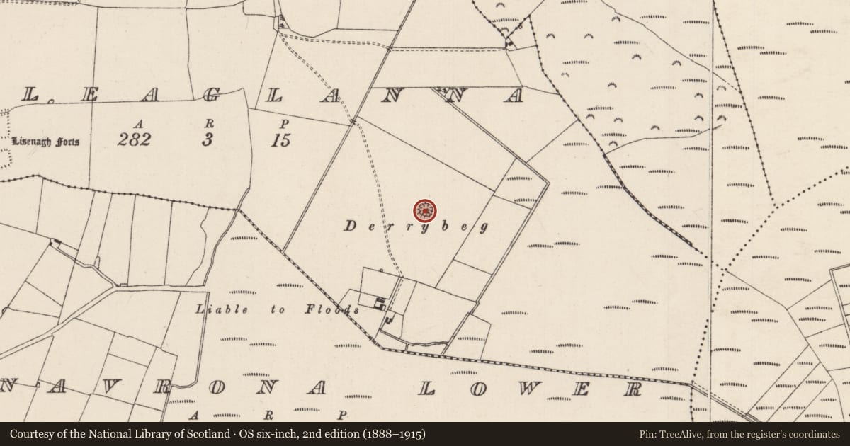 Ordnance Survey six-inch map, 2nd edition (1888–1915) covering the location of Enclosure, Kyleaglanna, County Tipperary South, with a pin at the register's coordinates