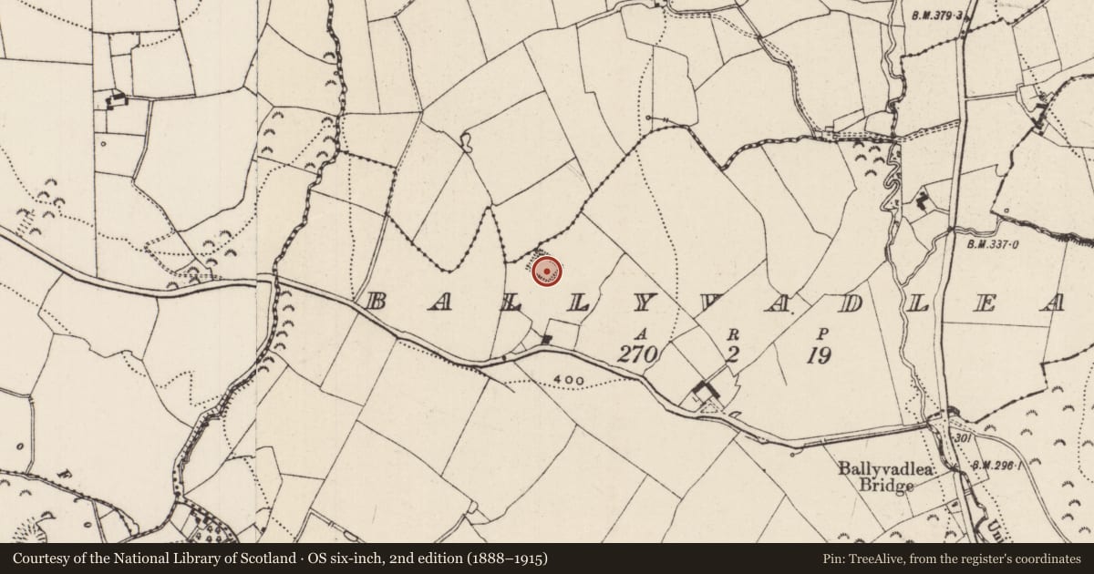 Ordnance Survey six-inch map, 2nd edition (1888–1915) covering the location of Moated site, Ballyvadlea (Cloneen Par.), County Tipperary South, with a pin at the register's coordinates