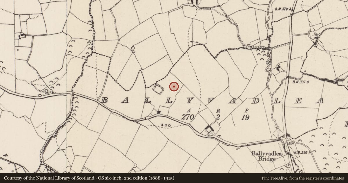 Ordnance Survey six-inch map, 2nd edition (1888–1915) covering the location of Moated site, Ballyvadlea (Cloneen Par.), County Tipperary South, with a pin at the register's coordinates