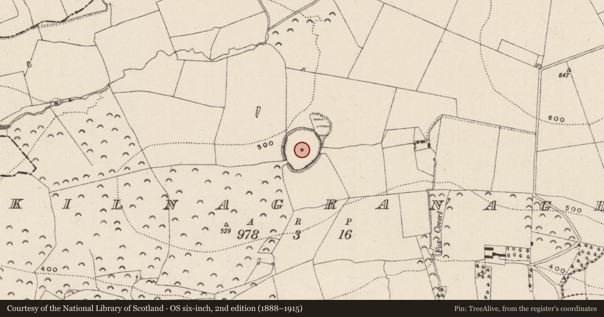 Ordnance Survey six-inch map, 2nd edition (1888–1915) covering the location of Enclosure, Kilnagranagh, County Tipperary South, with a pin at the register's coordinates