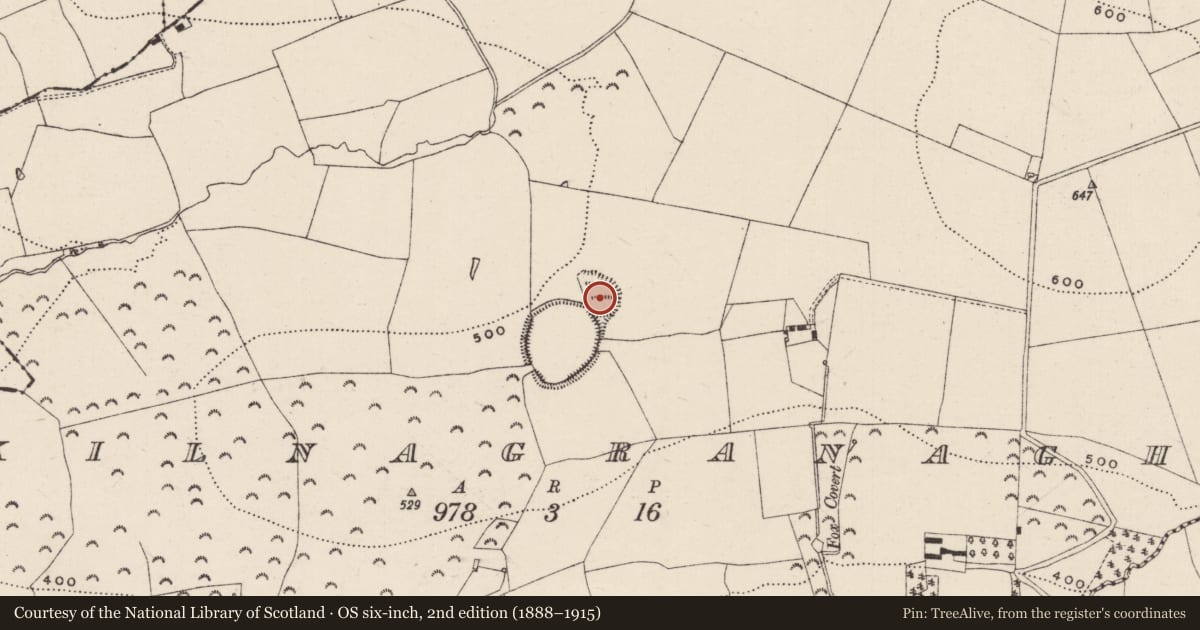Ordnance Survey six-inch map, 2nd edition (1888–1915) covering the location of Quarry, Kilnagranagh, County Tipperary South, with a pin at the register's coordinates