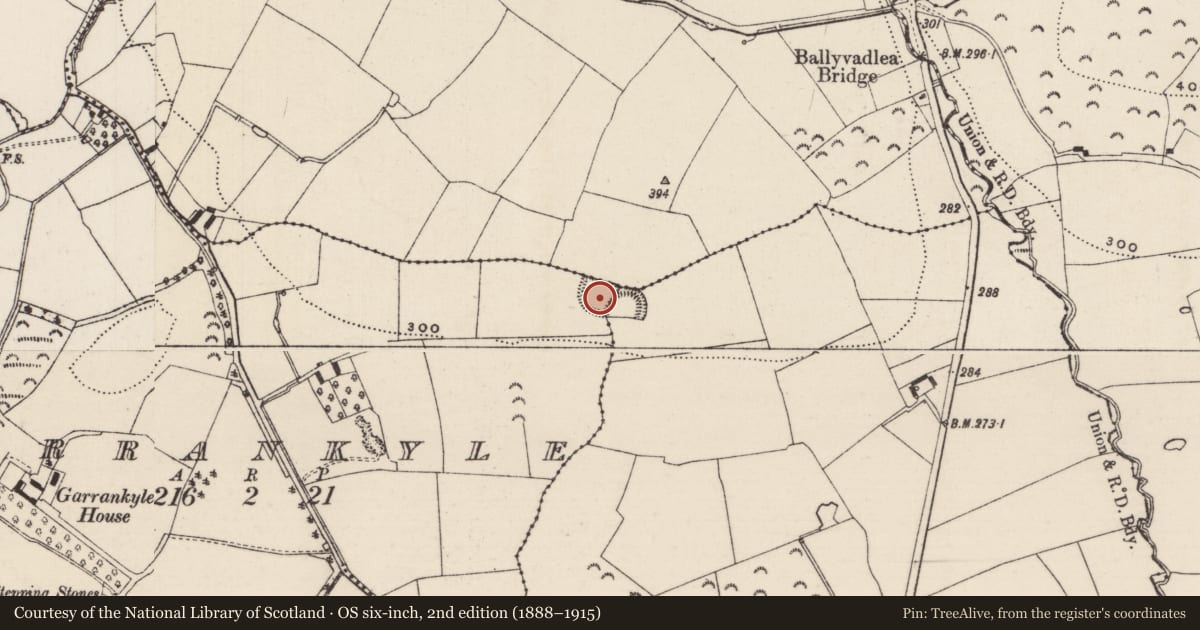 Ordnance Survey six-inch map, 2nd edition (1888–1915) covering the location of Ringfort - rath, County Tipperary South, with a pin at the register's coordinates