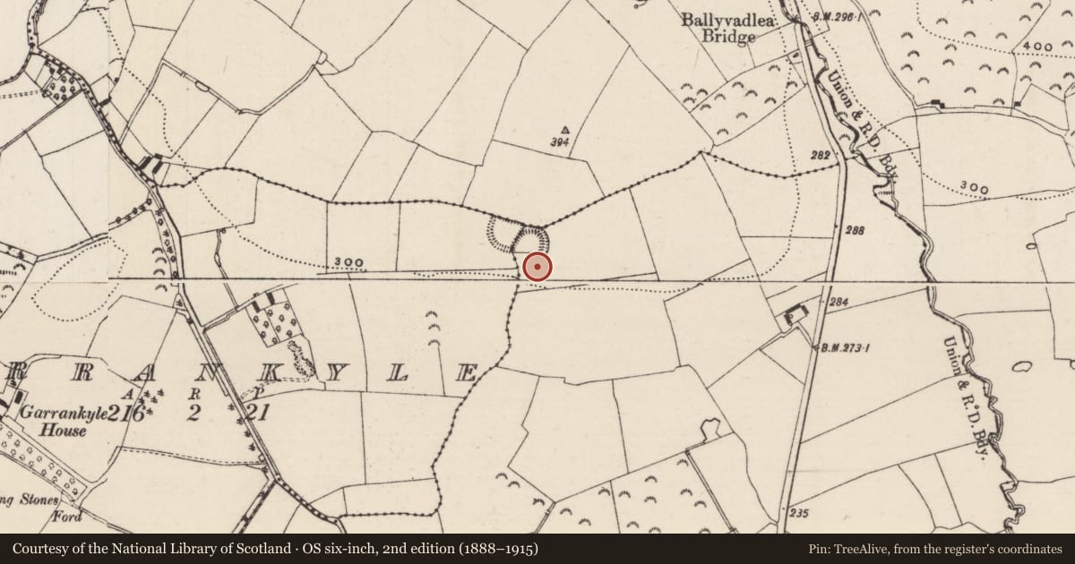 Ordnance Survey six-inch map, 2nd edition (1888–1915) covering the location of Ringfort - rath, County Tipperary South, with a pin at the register's coordinates