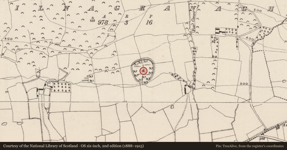 Ordnance Survey six-inch map, 2nd edition (1888–1915) covering the location of Enclosure - large enclosure, Kilnagranagh, County Tipperary South, with a pin at the register's coordinates