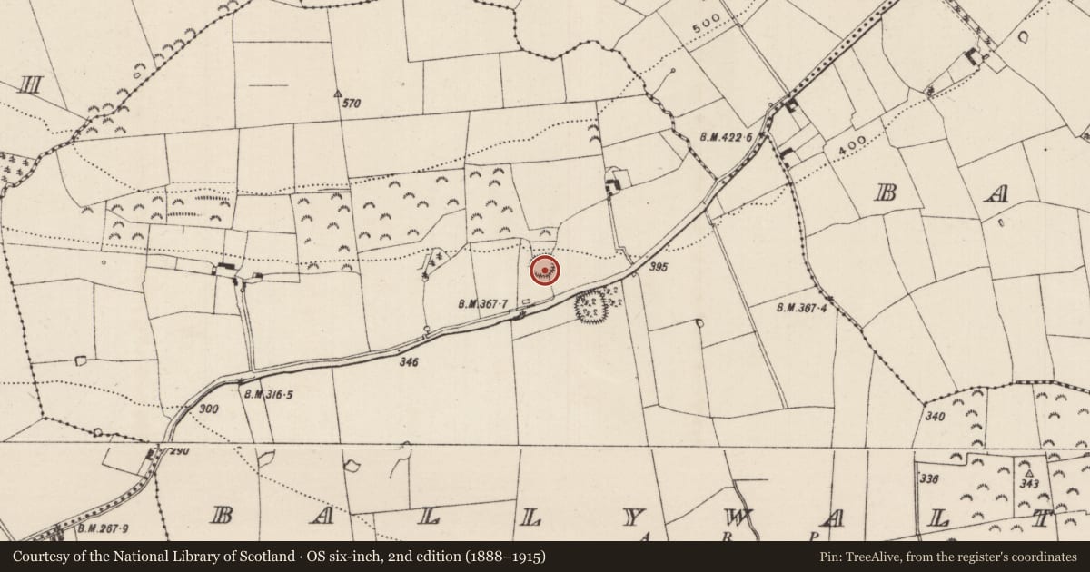 Ordnance Survey six-inch map, 2nd edition (1888–1915) covering the location of Ringfort - rath, Ballywalter (Kilvemnon Par.), County Tipperary South, with a pin at the register's coordinates