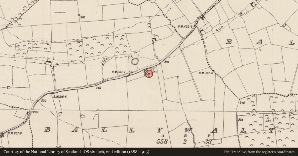 Ordnance Survey six-inch map, 2nd edition (1888–1915) covering the location of Enclosure, Ballywalter (Kilvemnon Par.), County Tipperary South, with a pin at the register's coordinates