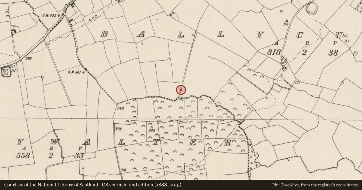 Ordnance Survey six-inch map, 2nd edition (1888–1915) covering the location of Fulacht fia, Ballycullin, County Tipperary South, with a pin at the register's coordinates