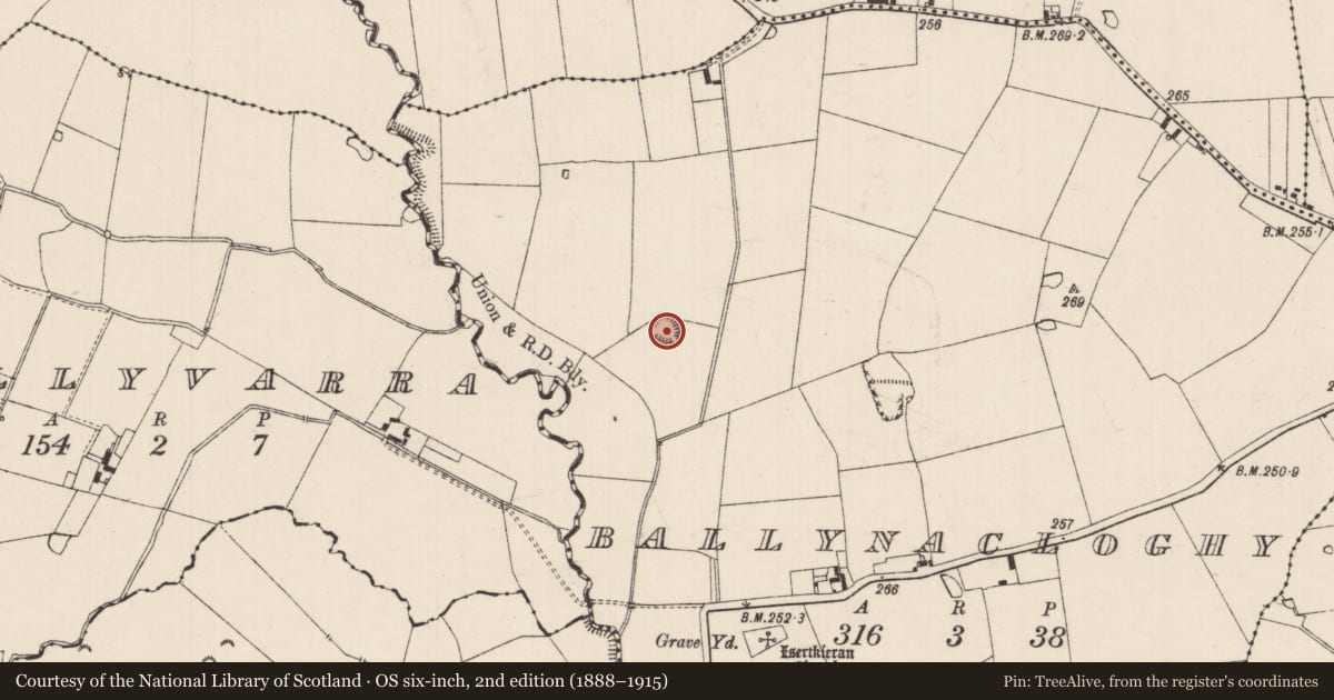 Ordnance Survey six-inch map, 2nd edition (1888–1915) covering the location of Enclosure, Ballynacloghy, County Tipperary South, with a pin at the register's coordinates