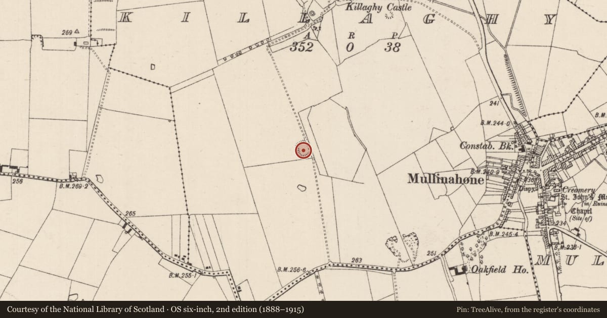 Ordnance Survey six-inch map, 2nd edition (1888–1915) covering the location of Moated site, Killaghy, County Tipperary South, with a pin at the register's coordinates