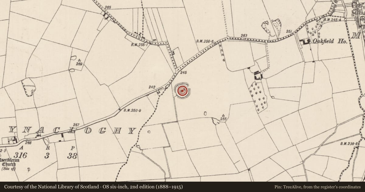 Ordnance Survey six-inch map, 2nd edition (1888–1915) covering the location of Enclosure, Beeverstown, County Tipperary South, with a pin at the register's coordinates