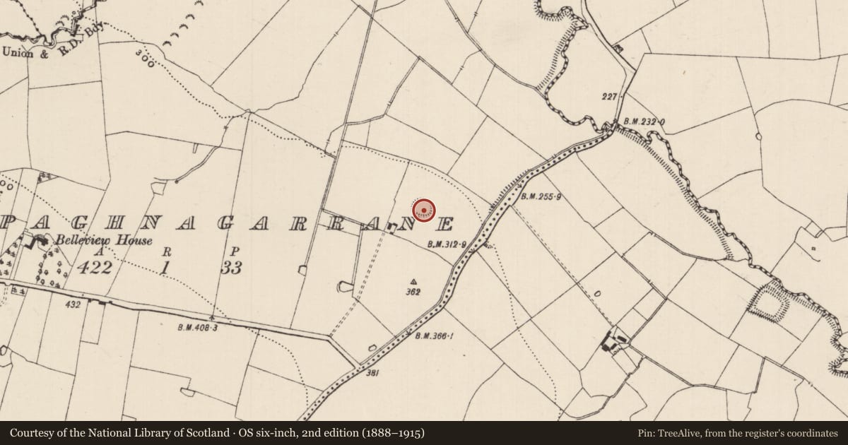 Ordnance Survey six-inch map, 2nd edition (1888–1915) covering the location of Enclosure, Cappaghnagarrane, County Tipperary South, with a pin at the register's coordinates