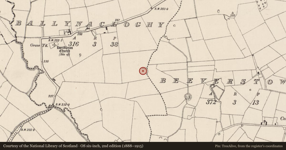 Ordnance Survey six-inch map, 2nd edition (1888–1915) covering the location of Moated site, Ballynacloghy, Beeverstown, County Tipperary South, with a pin at the register's coordinates