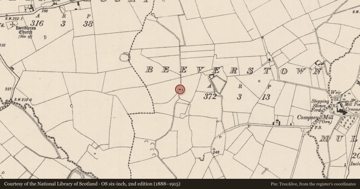 Ordnance Survey six-inch map, 2nd edition (1888–1915) covering the location of Ringfort - rath, Beeverstown, County Tipperary South, with a pin at the register's coordinates