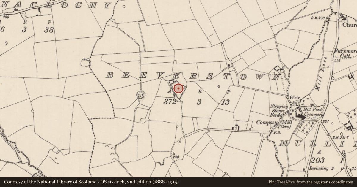 Ordnance Survey six-inch map, 2nd edition (1888–1915) covering the location of Enclosure, Beeverstown, County Tipperary South, with a pin at the register's coordinates