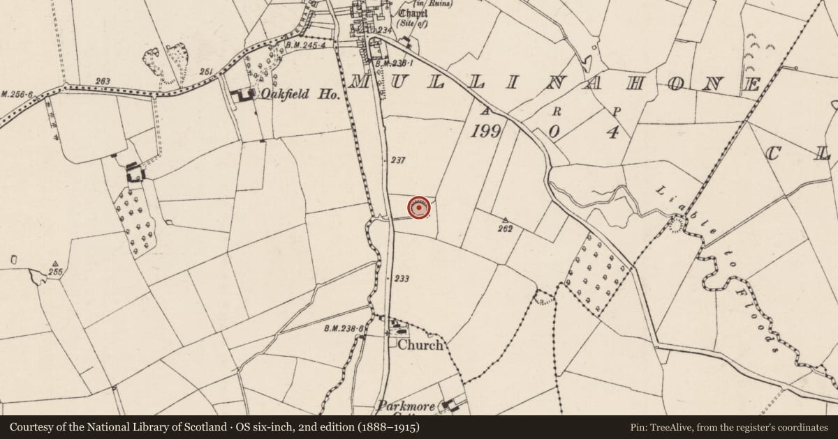 Ordnance Survey six-inch map, 2nd edition (1888–1915) covering the location of Enclosure, Mullinahone, County Tipperary South, with a pin at the register's coordinates
