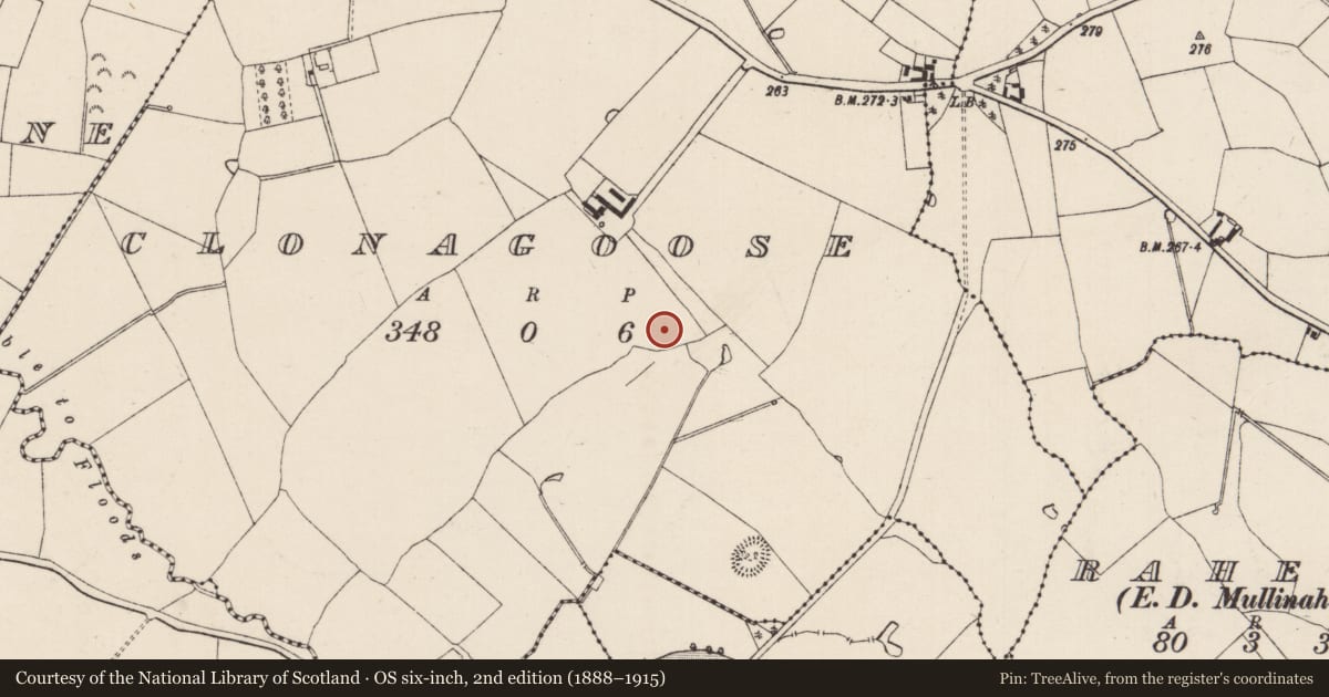 Ordnance Survey six-inch map, 2nd edition (1888–1915) covering the location of Fulacht fia, Clonagoose, County Tipperary South, with a pin at the register's coordinates