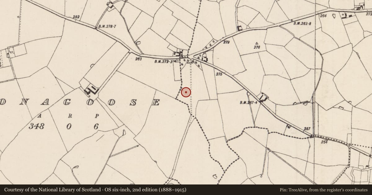 Ordnance Survey six-inch map, 2nd edition (1888–1915) covering the location of Fulacht fia, Gurteen (Pennefather), County Tipperary South, with a pin at the register's coordinates