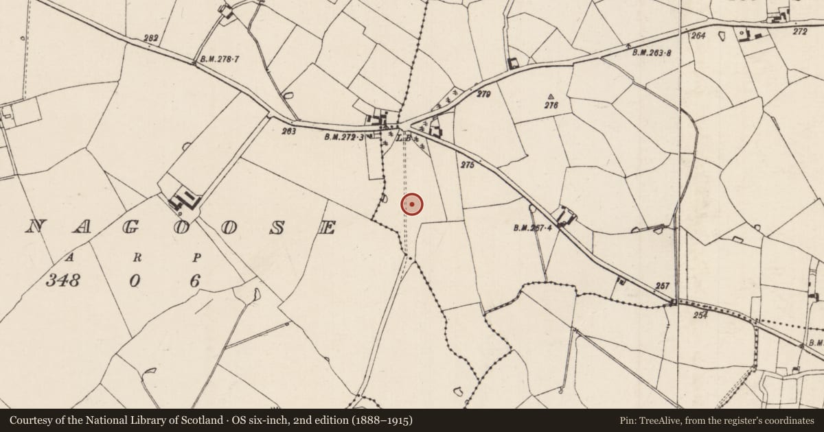 Ordnance Survey six-inch map, 2nd edition (1888–1915) covering the location of Fulacht fia, Gurteen (Pennefather), County Tipperary South, with a pin at the register's coordinates