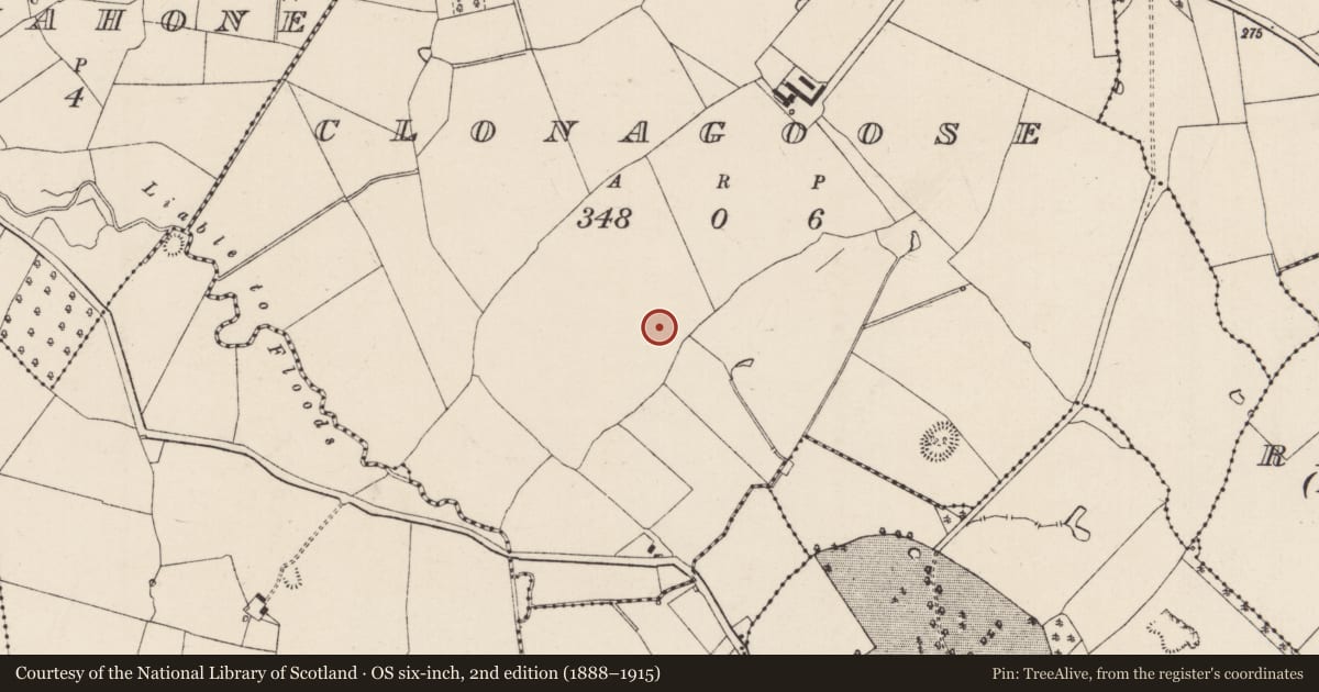 Ordnance Survey six-inch map, 2nd edition (1888–1915) covering the location of Fulacht fia, Clonagoose, County Tipperary South, with a pin at the register's coordinates