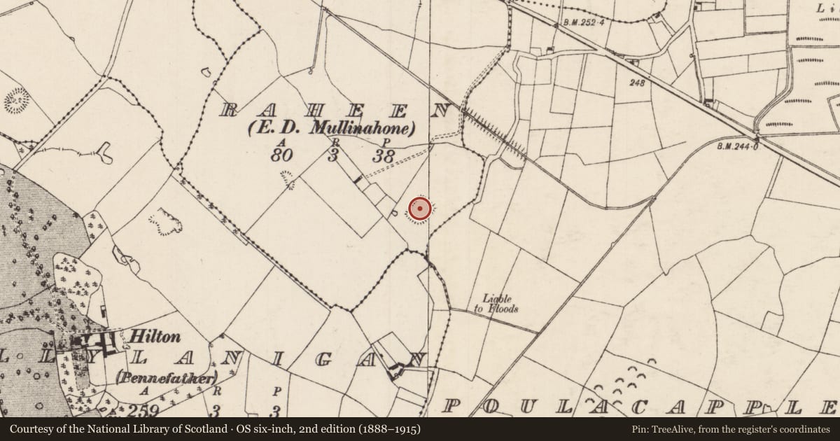 Ordnance Survey six-inch map, 2nd edition (1888–1915) covering the location of Moated site, Raheen (Kilvemnon Par.), County Tipperary South, with a pin at the register's coordinates