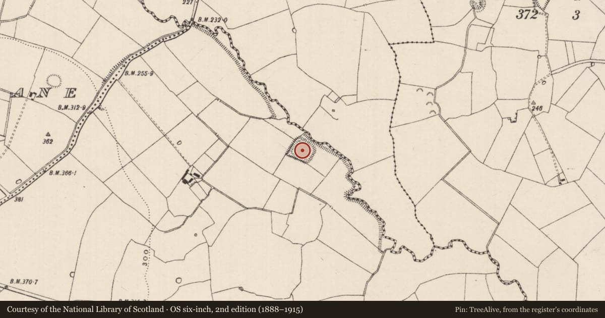 Ordnance Survey six-inch map, 2nd edition (1888–1915) covering the location of Moated site, Ballycullin, County Tipperary South, with a pin at the register's coordinates