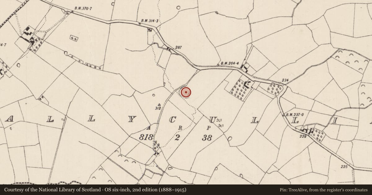 Ordnance Survey six-inch map, 2nd edition (1888–1915) covering the location of Ringfort - rath, Ballycullin, County Tipperary South, with a pin at the register's coordinates