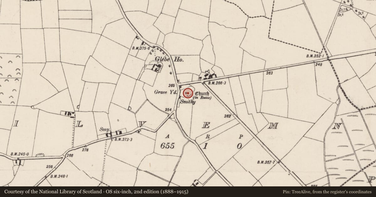 Ordnance Survey six-inch map, 2nd edition (1888–1915) covering the location of Graveslab, Kilvemnon, County Tipperary South, with a pin at the register's coordinates