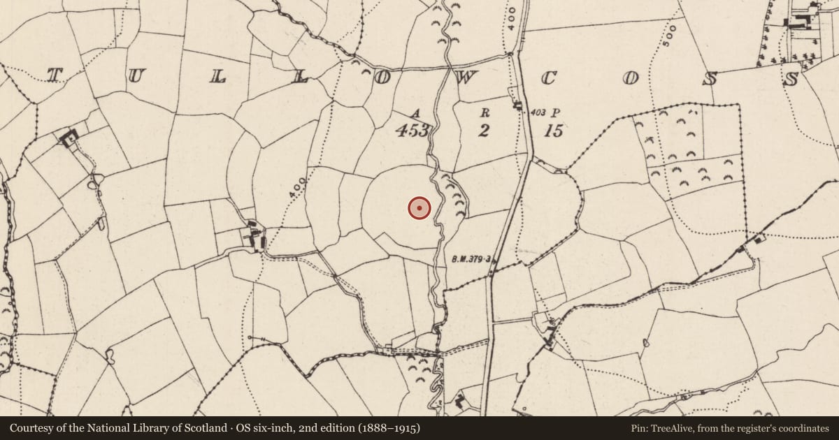 Ordnance Survey six-inch map, 2nd edition (1888–1915) covering the location of Enclosure, Tullowcossaun, County Tipperary South, with a pin at the register's coordinates