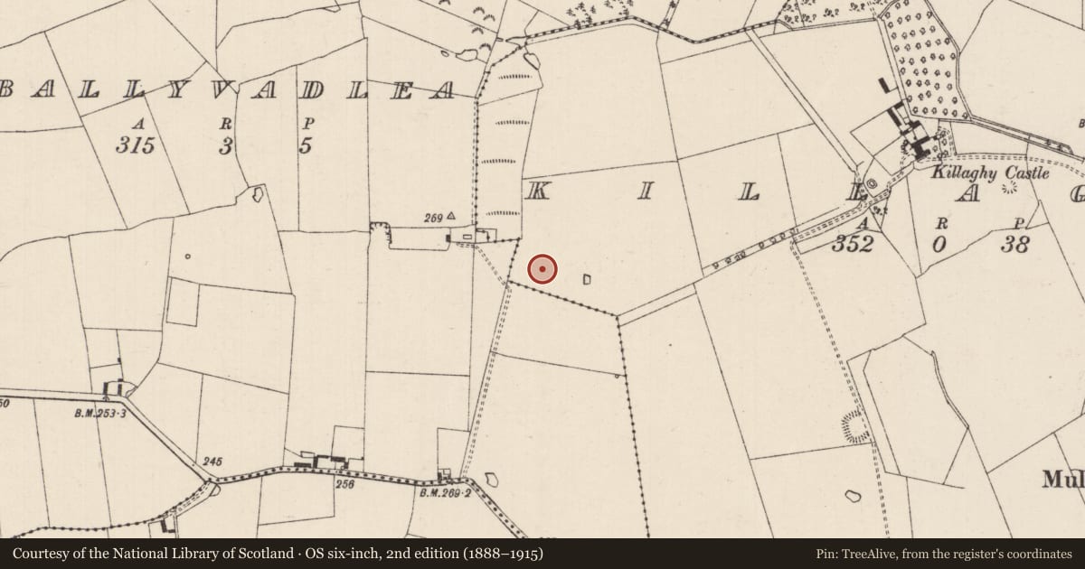 Ordnance Survey six-inch map, 2nd edition (1888–1915) covering the location of Enclosure, Modeshil (Ayre), County Tipperary South, with a pin at the register's coordinates