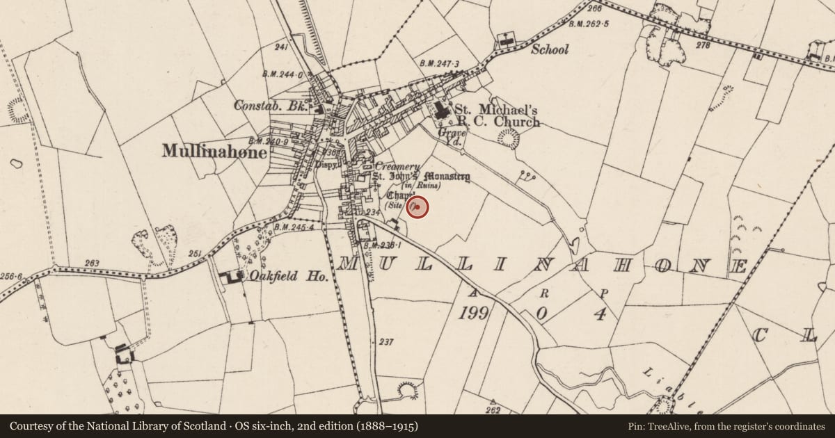 Ordnance Survey six-inch map, 2nd edition (1888–1915) covering the location of Enclosure, Mullinahone, County Tipperary South, with a pin at the register's coordinates