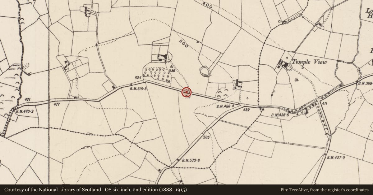 Ordnance Survey six-inch map, 2nd edition (1888–1915) covering the location of Architectural fragment, Corbally (Drangan), County Tipperary South, with a pin at the register's coordinates