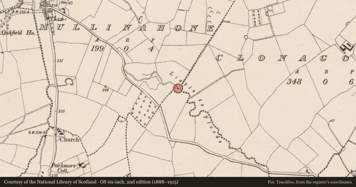 Ordnance Survey six-inch map, 2nd edition (1888–1915) covering the location of Enclosure, Cappoge, County Tipperary South, with a pin at the register's coordinates