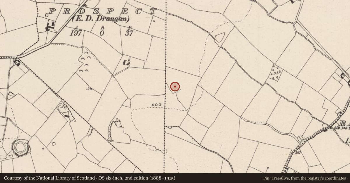 Ordnance Survey six-inch map, 2nd edition (1888–1915) covering the location of Moated site, Kyle (Drangan Par.), County Tipperary South, with a pin at the register's coordinates