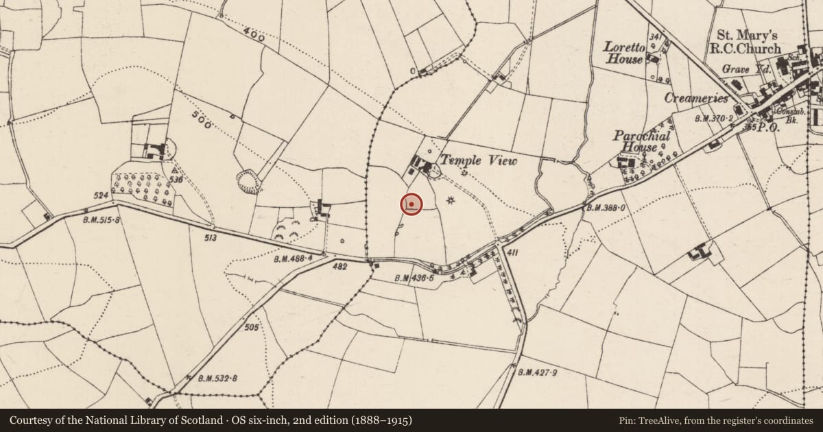 Ordnance Survey six-inch map, 2nd edition (1888–1915) covering the location of Earthwork, Newtowndrangan, County Tipperary South, with a pin at the register's coordinates