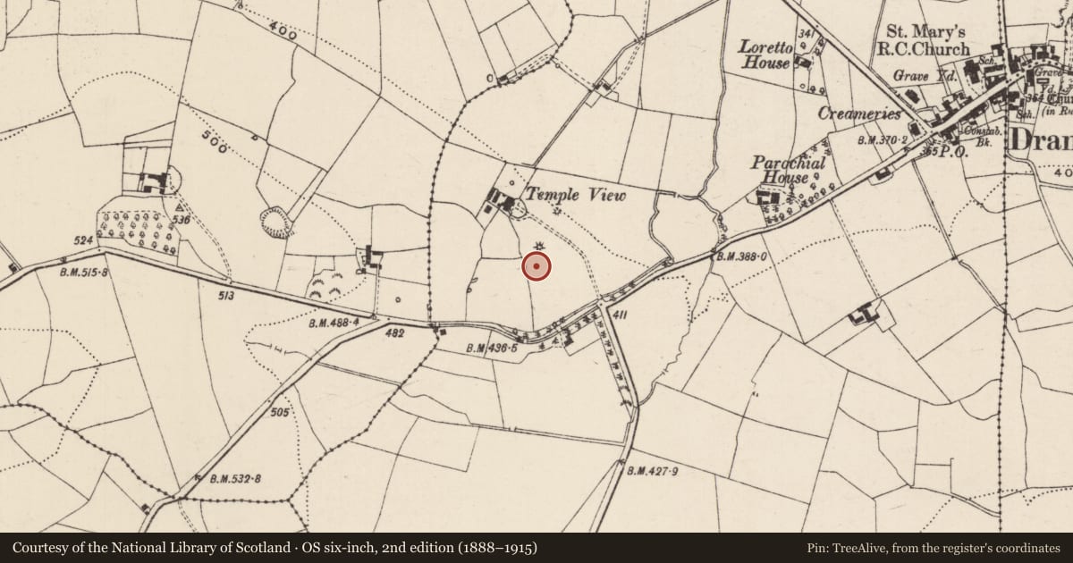 Ordnance Survey six-inch map, 2nd edition (1888–1915) covering the location of Enclosure, Newtowndrangan, County Tipperary South, with a pin at the register's coordinates