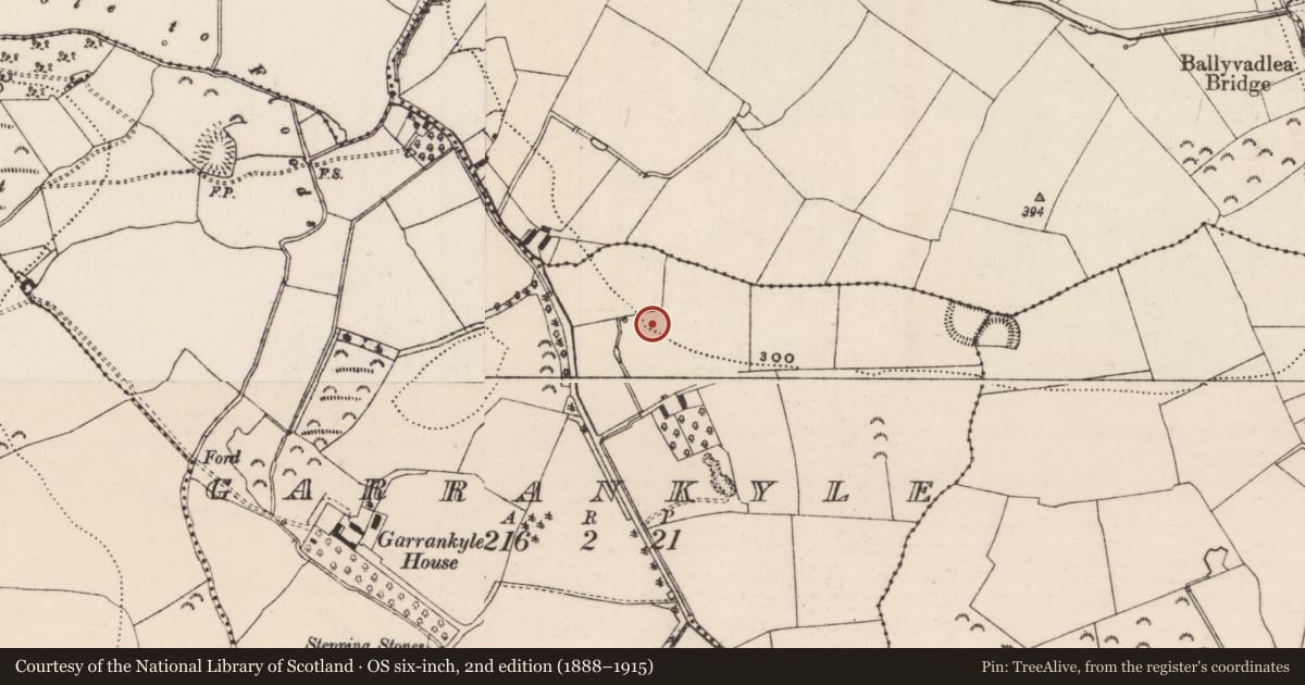 Ordnance Survey six-inch map, 2nd edition (1888–1915) covering the location of Burnt mound, Garrankyle, County Tipperary South, with a pin at the register's coordinates