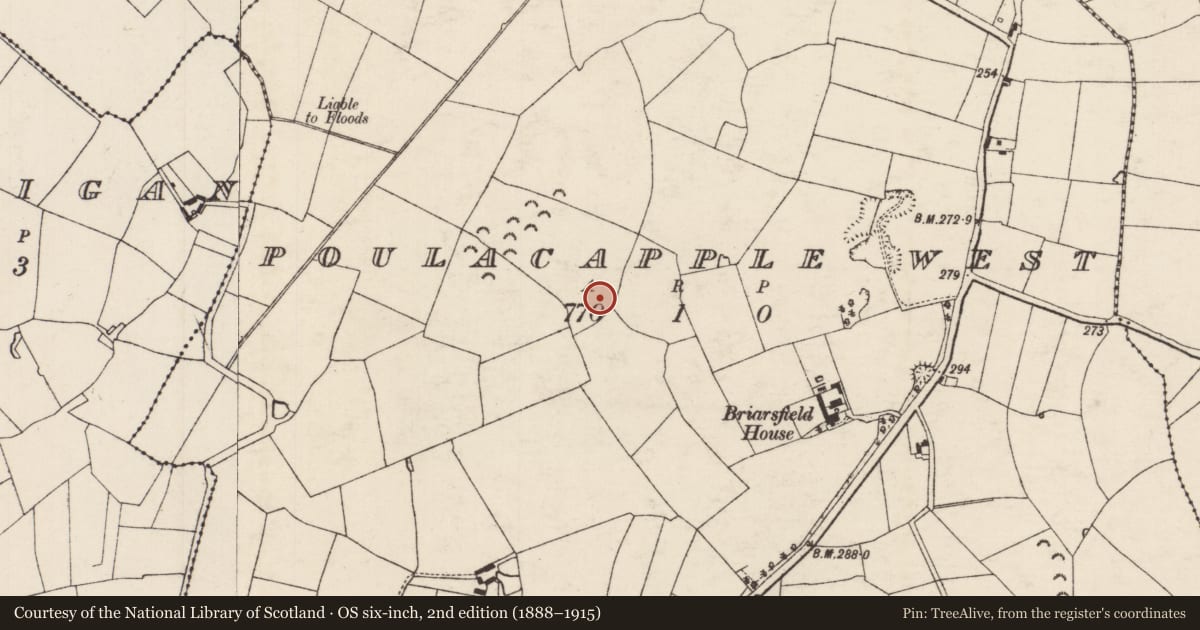 Ordnance Survey six-inch map, 2nd edition (1888–1915) covering the location of Enclosure, Poulacapple West, County Tipperary South, with a pin at the register's coordinates