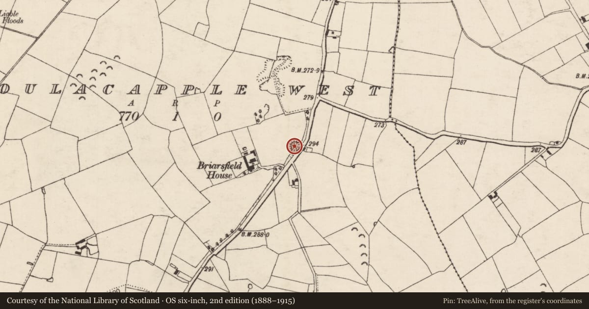 Ordnance Survey six-inch map, 2nd edition (1888–1915) covering the location of Enclosure, Poulacapple West, County Tipperary South, with a pin at the register's coordinates