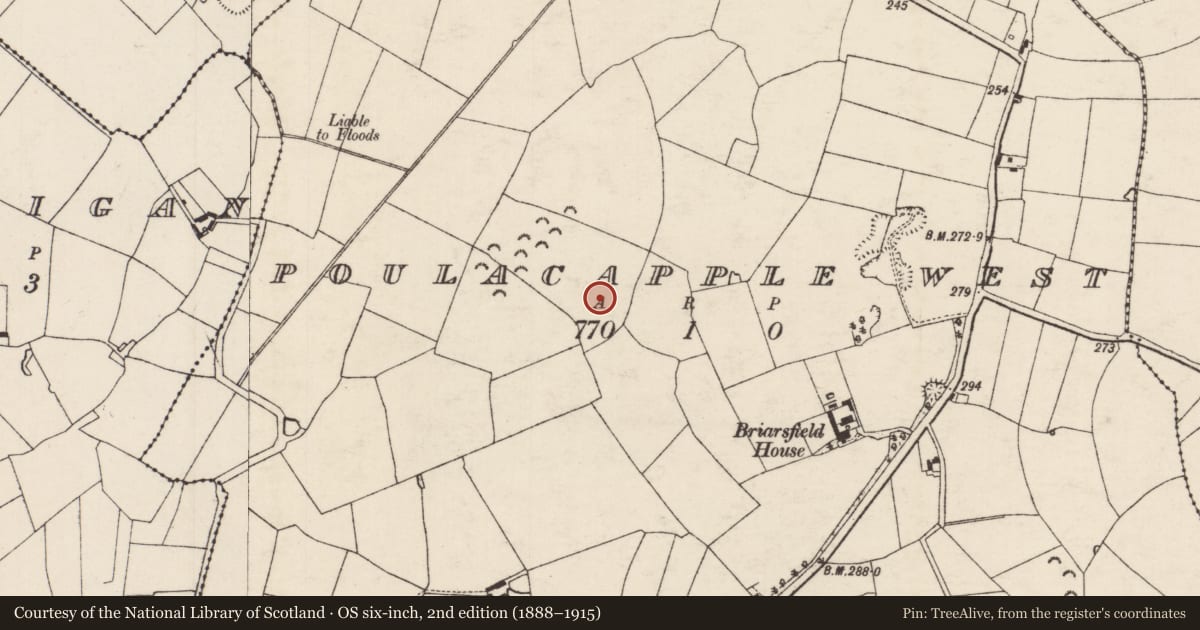 Ordnance Survey six-inch map, 2nd edition (1888–1915) covering the location of Fulacht fia, Poulacapple West, County Tipperary South, with a pin at the register's coordinates