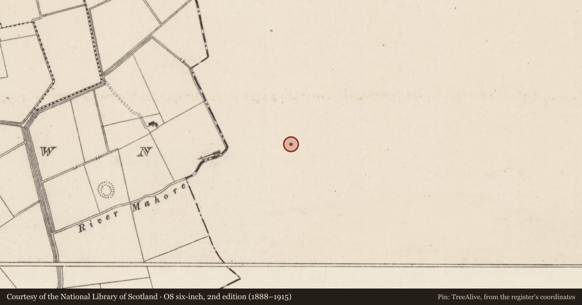 Ordnance Survey six-inch map, 2nd edition (1888–1915) covering the location of Barrow - ring-barrow, Ballycurrane, County Tipperary South, with a pin at the register's coordinates